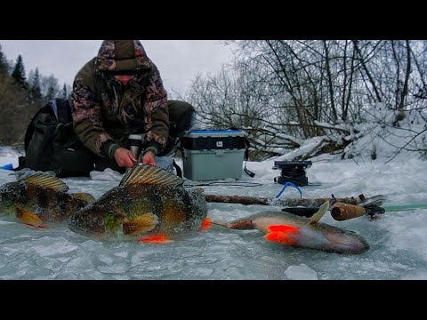 Видео: РЫБАЛКА НА РЕКЕ. ОКУНЬ НА БЕЗМОТЫЛКУ