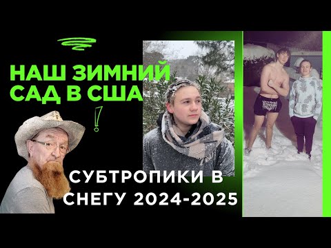 Видео: 🏠🗽НАРЕЗКА СУБТРОПИКОВ🗽🌞🌴 НАШ ЗИМНИЙ САД А-ЛЯ КОЛХОЗ🤦‍♂️