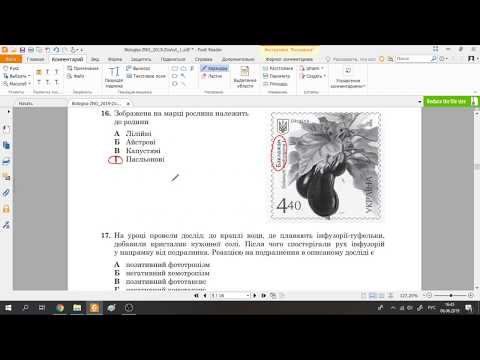 Видео: Розв'язання тестів ЗНО-2019 біологія (розбір, відповіді)