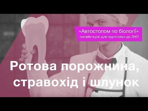 Видео: Ротова порожнина, стравохід і шлунок – Підготовка до ЗНО – Біологія