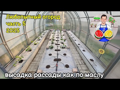 Видео: Любопытный огород часть 5 (2025)