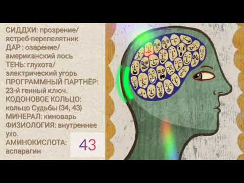 Видео: 43 генный ключ. Тень глухоты (Ричард Радд)