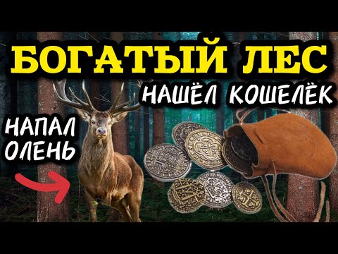 Видео: КОПАТЬ В ЭТОМ ЛЕСУ МЕЧТА ЛЮБОГО КЛАДОИСКАТЕЛЯ!! НАШЁЛ ПОТЕРЯННЫЙ КОШЕЛЁК С КУЧЕЙ СЕРЕБРА!! КОП 2024
