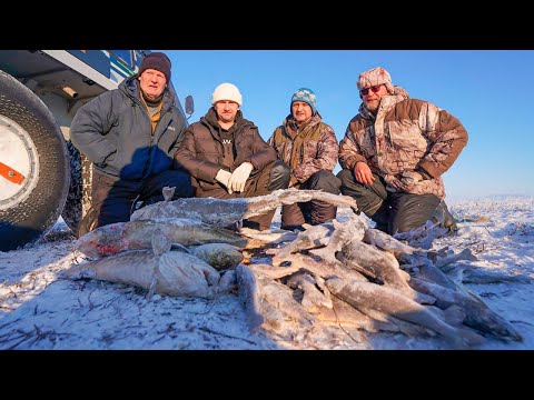 Видео: ПЕРВЫЙ ЛЁД 2023-2024. ЯМАЛ. ХАРИУС ПЯТЬ СТО | С Полем!