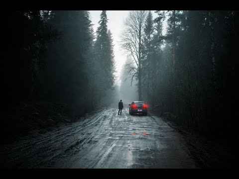 Видео: странная история в лесу