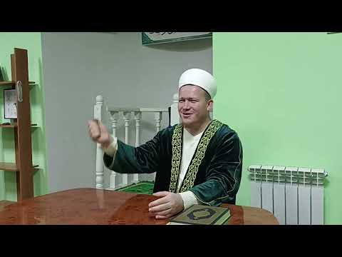 Видео: 24 января 2023 г.