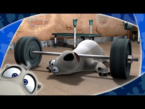 Видео: БЕРНАРД: Спортзал (HD)