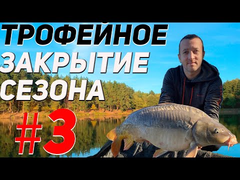 Видео: Ловля карпа осенью | Озеро Трофейное | Карпфишинг