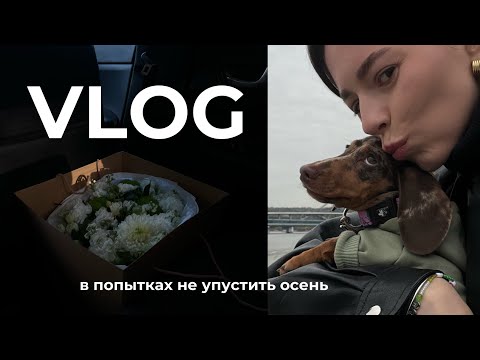 Видео: ОСЕННИЙ ВЛОГ: Москва, день рождения подруги, морковный пирог, прогулки с Иви и йога