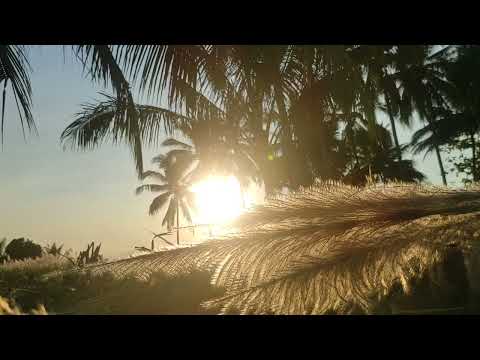 Видео: Жұма күні бұл сүрені міндетті түрде қосыңыз. Нәтижесін көресіз, әл-Кәһф сүресі🤲#құран