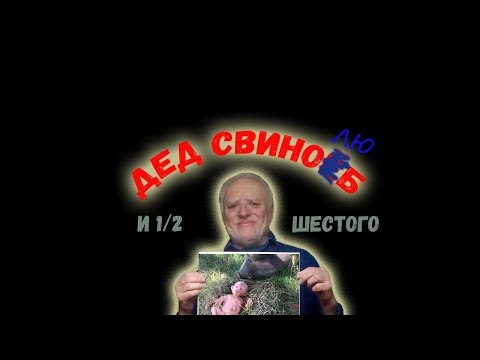 Видео: Дед свинолюб покупает БАДы