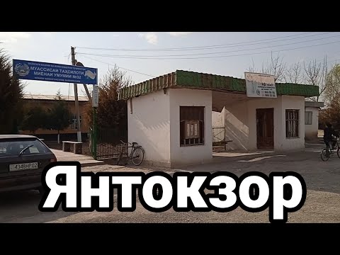 Видео: Янтокзор кишлоги.