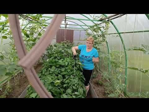 Видео: Как потопаешь,так и полопаешь,а у нас всё да наоборот.