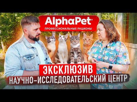 Видео: Кто тестирует корм? | Научно-исследовательский центр AlphaPet