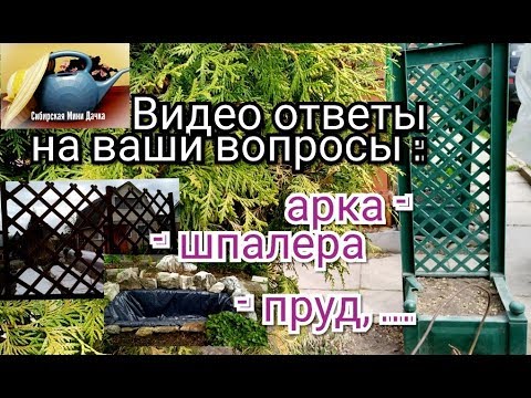 Видео: ВИДЕО ОТВЕТЫ НА ВАШИ ВОПРОСЫ, Про Арку, Шпалеру, Пруд и другое   на моем участке
