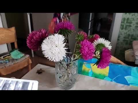 Видео: 15.09.25. Погода испортилась, но не унываем, согреваемся вкусняшками.