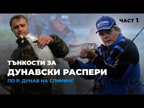 Видео: Местен майстор КЪРТИ  РАСПЕРИ по р. Дунав на спининг - 1 част