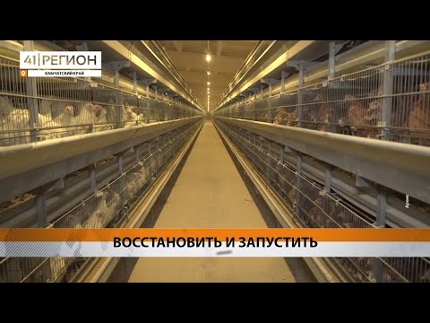 Видео: Новости Камчатки за 13 ноября 2024 года