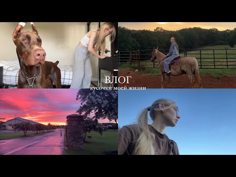 Видео: Езда верхом / прогулки с доберманом / мои обычные денечки