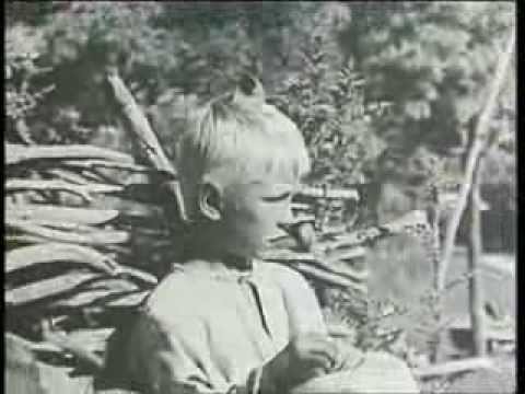 Видео: "Розповіді про Шевченка"