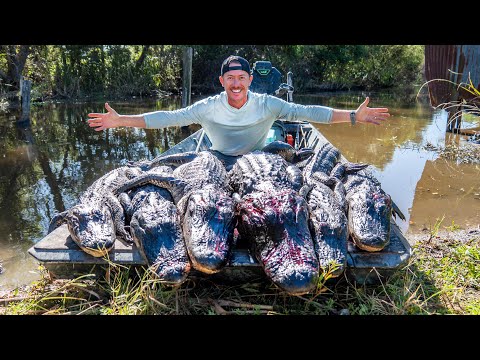 Видео: Охота на аллигаторов с местными каджунами в Луизиане