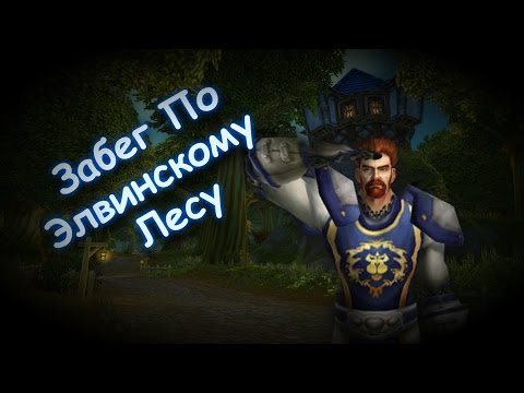 Видео: Гид по миру Warcraft: Угрозы Элвинских лесов