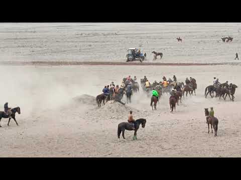 Видео: Маъракаи бузкаши дар н .точикобод.22.03.2025.охирона Нурулло гирифт
