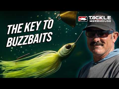 Видео: Ключ к баззбейтам с Джаредом Линтнером | Мастер-класс по баззбейтам