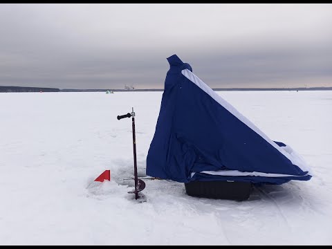 Видео: рыбалка 28.01.23 Белоярское водохранилище, Черемшана