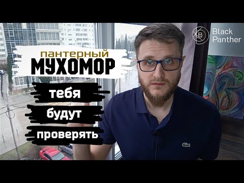 Видео: Мухоморы / Иерархия грибов учителей...