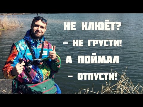 Видео: БЕШЕНЫЙ КЛЁВ на микроджиг в пасмурную погоду!