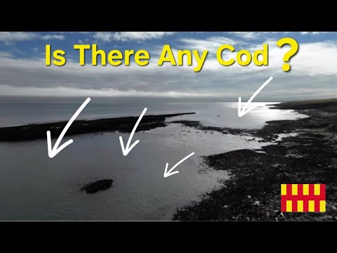 Видео: Сломанная катушка, ноль рыбы? Катастрофа на соревнованиях в Нортумберленде | Cod Fishing UK
