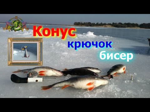 Видео: Окунь зимой. Конус,крючок,бисер.