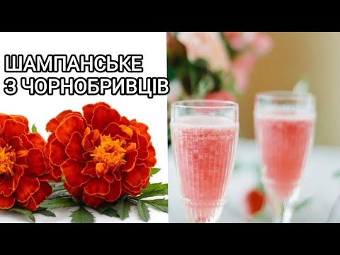 Видео: Цілющий напій з чорнобривців. Шампанське або квас з чорнобривців