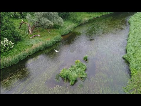 Видео: 2020 06 22 Голавли на бронзовку