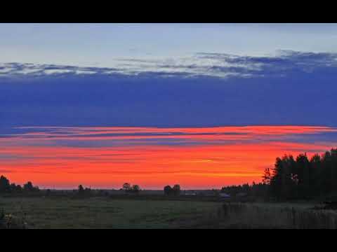 Видео: SHAMAN - Я РУССКИЙ