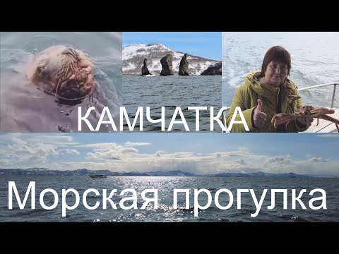 Видео: Камчатка. Морская прогулка по Авачинской губе.
