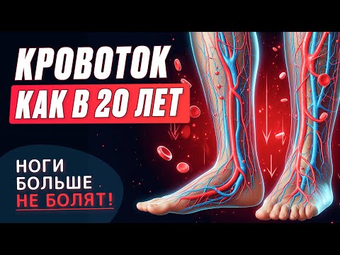 Видео: Секрет здорового кровотока как в 20 лет! Это спасет от тромбоза и инсульта! Смотреть после 30 лет!