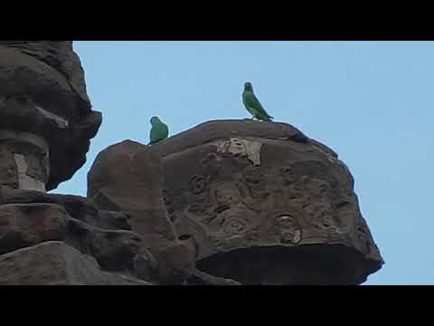 Видео: Канчипурам/Индия /храм Кайласанатх