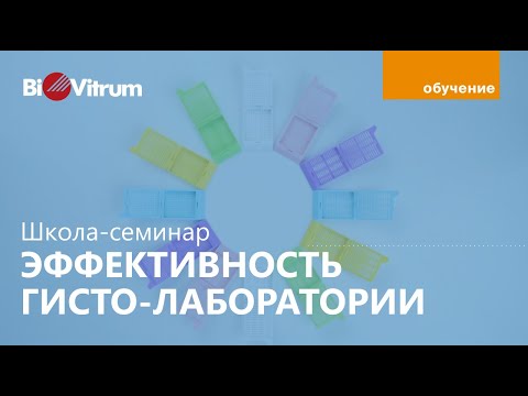 Видео: Рост эффективности лаборатории