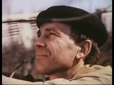 Видео: Обрезка плодовых деревьев