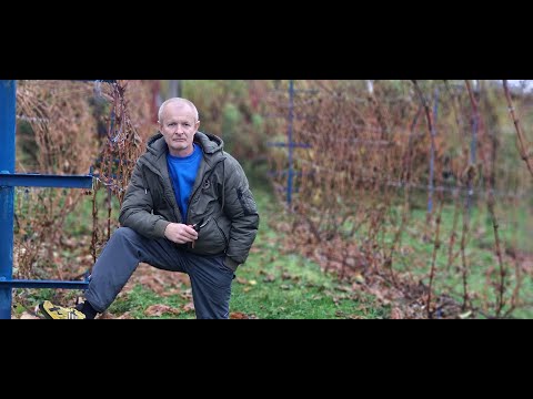 Видео: Проверяю как вызрела лоза.Пришла пора готовить виноградные кусты к зиме.