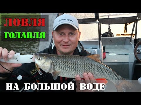 Видео: Ловля голавля на большой воде : где, как и на что? НР #2