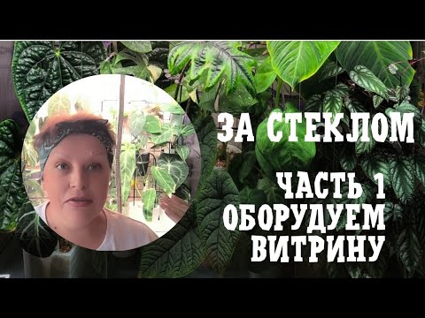 Видео: ЗА СТЕКЛОМ. Оборудую витрину для растений. 