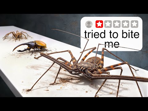 Видео: Я купил всех жутких животных в Интернете...