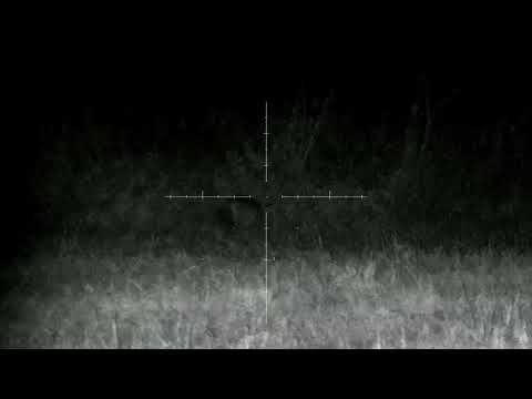 Видео: Охота на лису. Удачный выход. Видял две лисы , одну добыл.