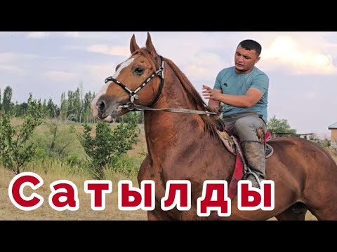 Видео: Двух Сотка  Сатылды ✊️