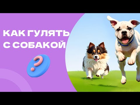 Видео: ПРАВИЛЬНАЯ ПРОГУЛКА, о концентрации и нагрузке для собаки