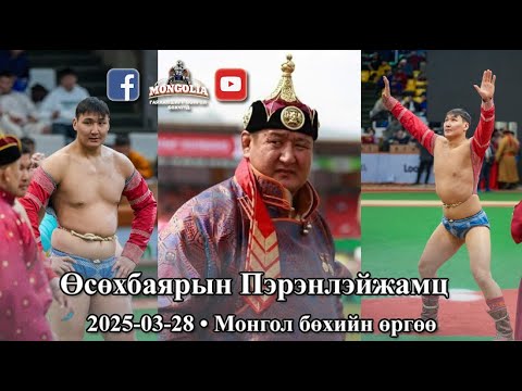 Видео: Дархан аварга Г.Өсөхбаярын хүү Ө.Пэрэнлэйжамц
