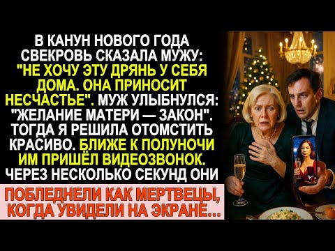 Видео: Свекровь выгнала меня на Новый год. Но под бой курантов они увидели то, чего не забудут никогда!